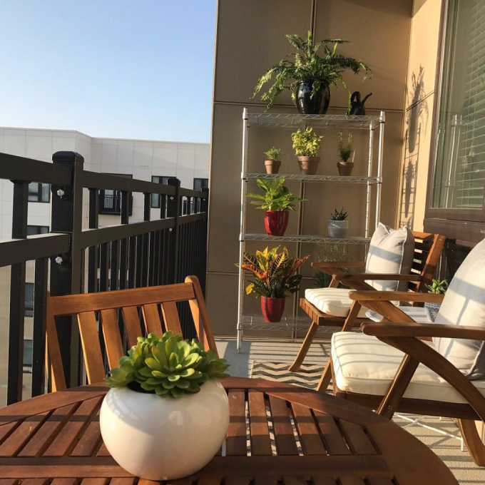 5 Cách Tạo Không Gian Xanh Cho Nhà Chung Cư Nhỏ